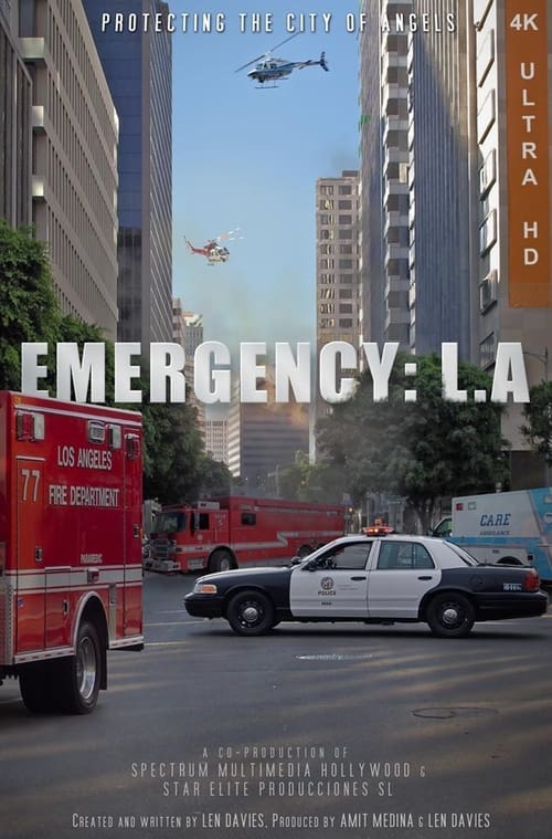 Poster Emergency: LA