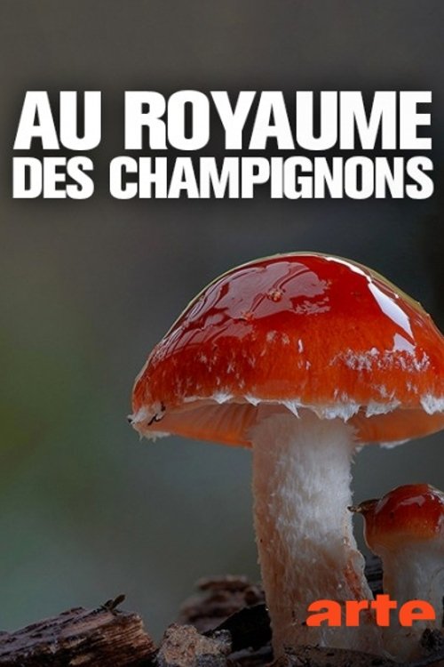 Au royaume des champignons 2018 Au royaume des champignons 2018