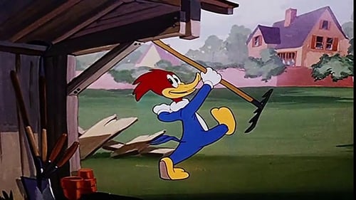 Poster della serie The Woody Woodpecker Show