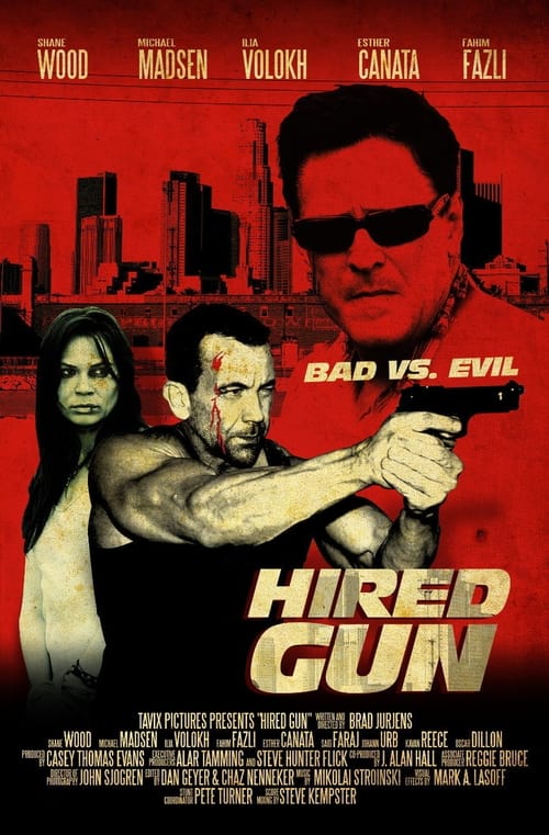 Poster do filme Hired Gun