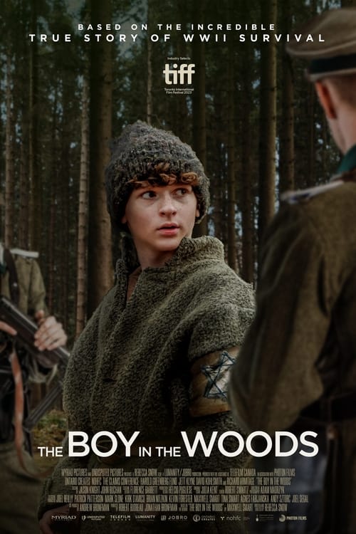 The Boy in the Woods Movie Poster Image