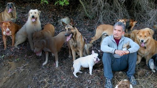 Dog Whisperer