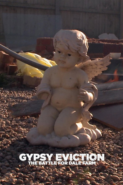 Gypsy Eviction The Battle for Dale Farm