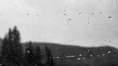 raindrops still