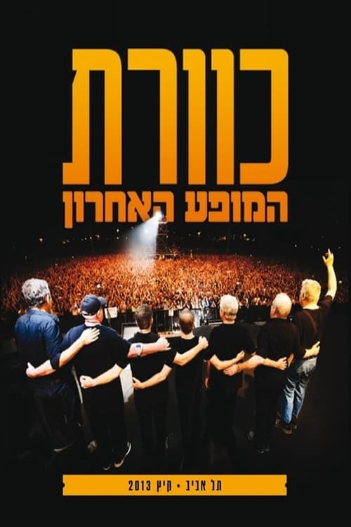 כוורת בפארק - המופע האחרון (2013)