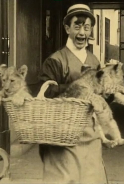 Polidor and the Cat (1913)