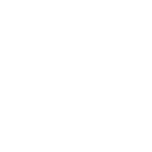 She's The One