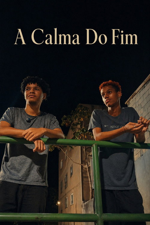 A Calma Do Fim poster