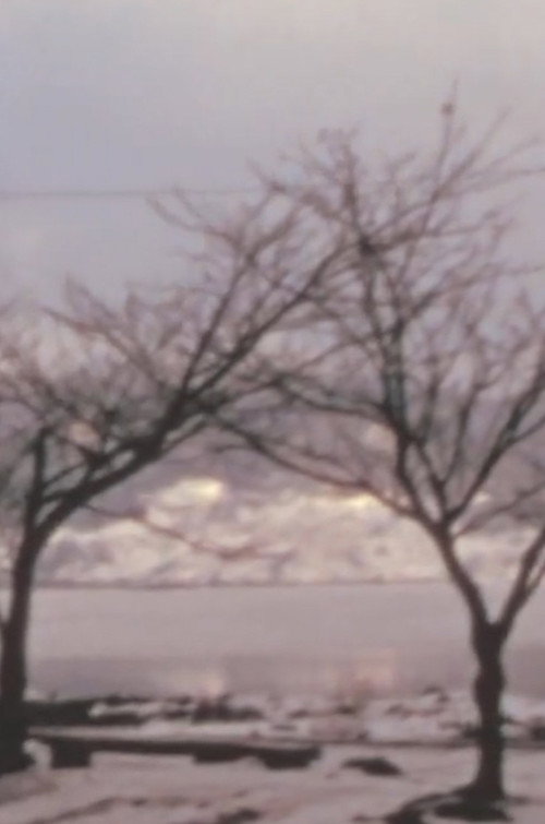 Phenomenology of a Japanese city