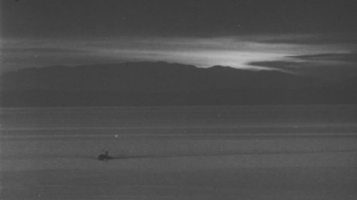 Minamata: The Victims and Their World