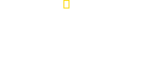King Tut In Color