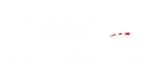 The Jetsons & WWE: Robo-WrestleMania
