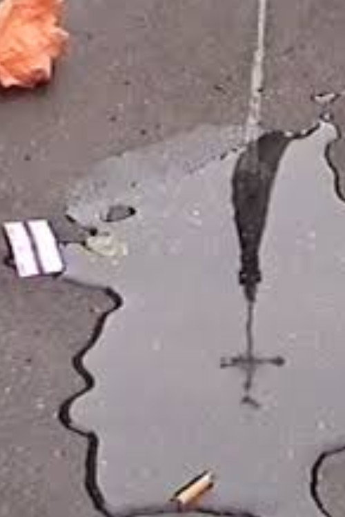 Ce que j’ai sous les yeux