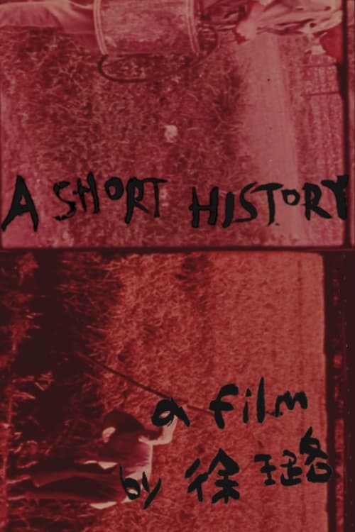 A Short History (2017) poster
