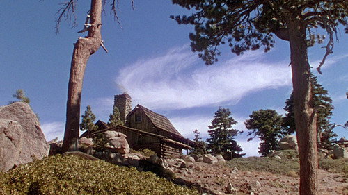 The Shepherd of the Hills