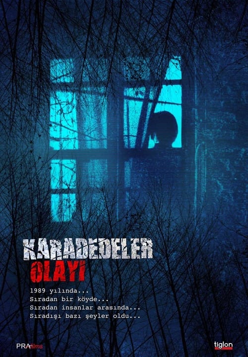 The Karadedeler Incident (2011)