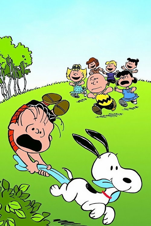 Glück ist eine wärmende Decke, Charlie Brown