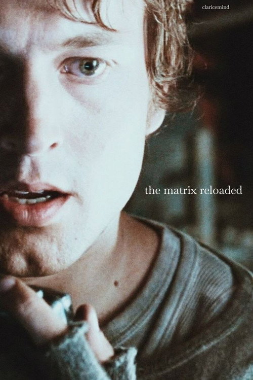 Poster 135 for The Matrix Reloaded