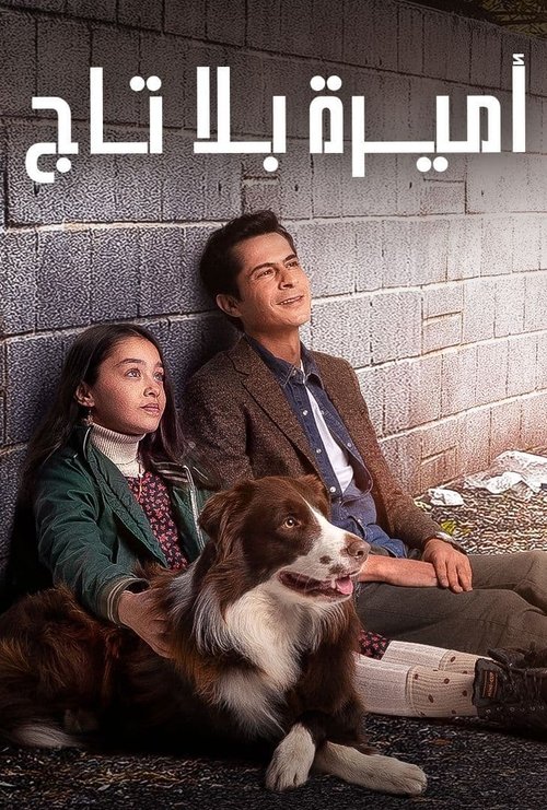 اميرة بلا تاج