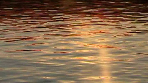 It's Great to be Alive!