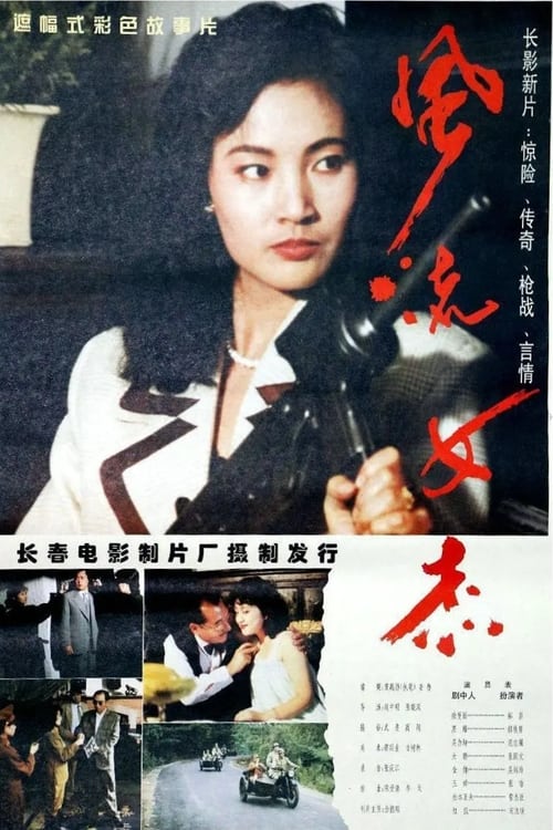 Poster 风流女杰 1995