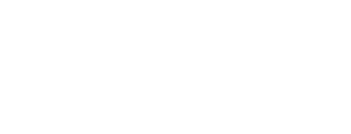 Morning Show Mysteries: Murder Ever After