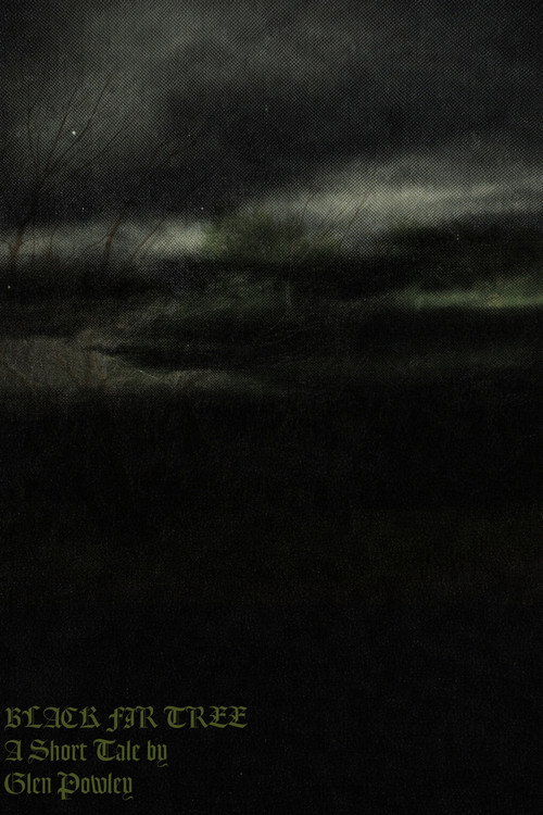 Black Fir Tree
