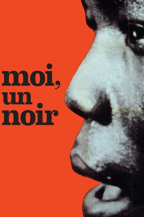Moi, un noir movie poster player