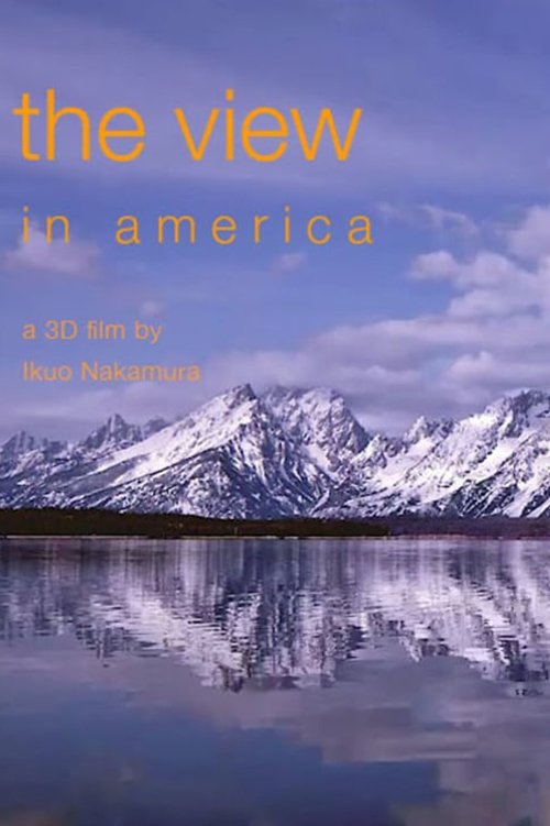 The View in America movie poster player