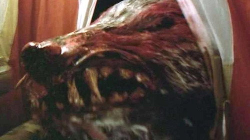 Image du film