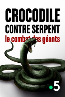Crocodile contre serpent Le combat des géants movie poster player