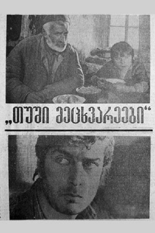 Tushetian Shepherd poster