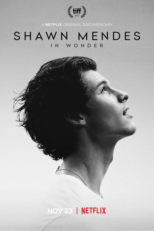 Shawn Mendes: In Wonder poster