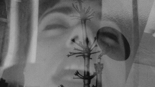 Safer Sexual Techniques in the Age of Mechanical Reproduction