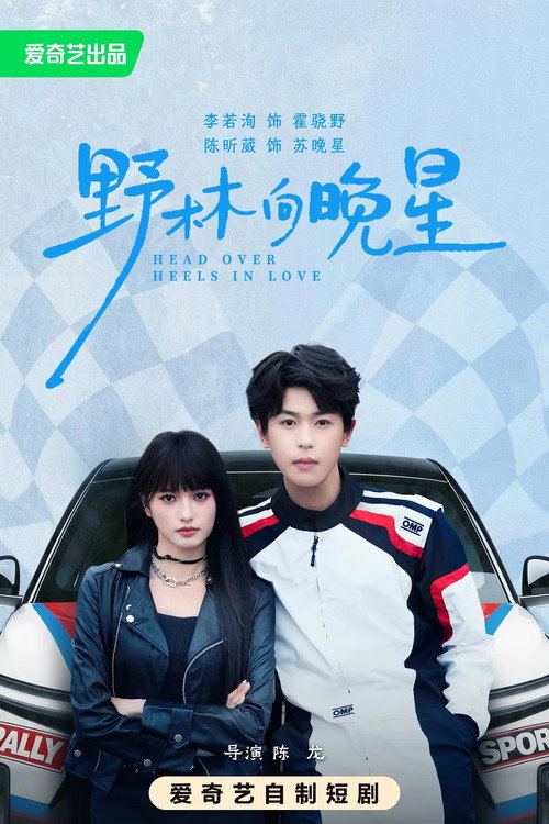 野林向晚星