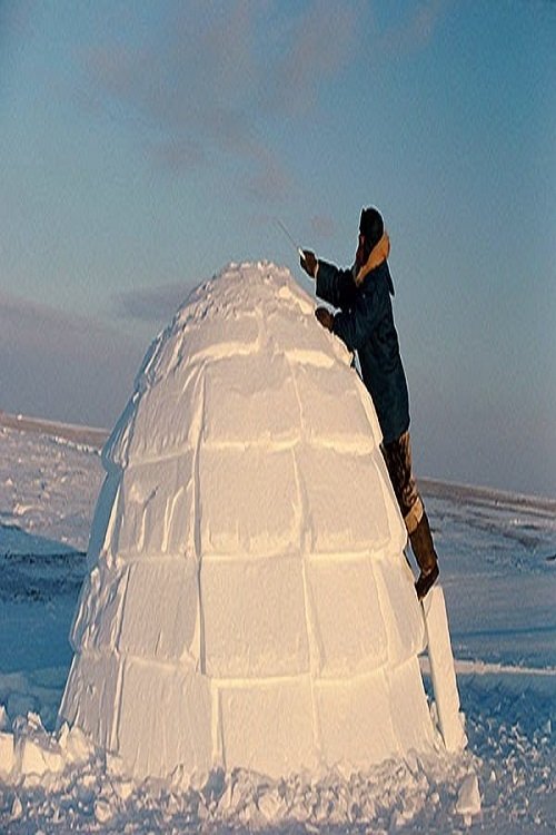 How to Build an Igloo movie poster player