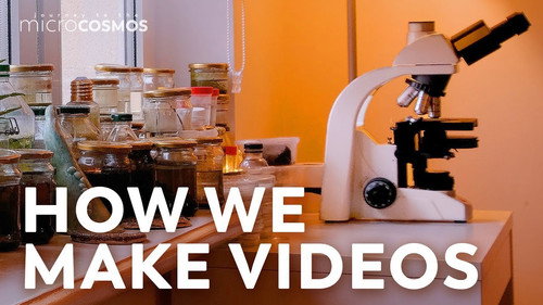 What Microscope Do We Use? (And Other Frequently Asked Questions)