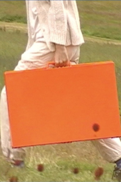 The Manifesto of Randomness