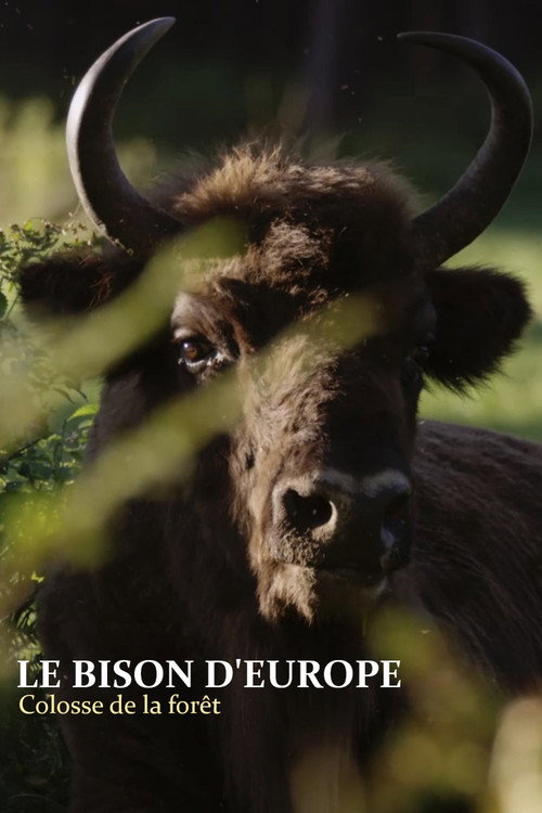 Image du film