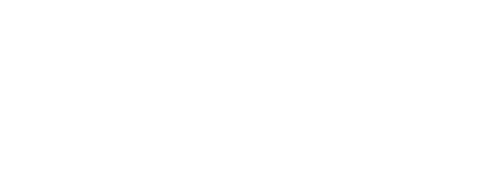 Bronx Zoo '90: Crime, Chaos and Baseball
