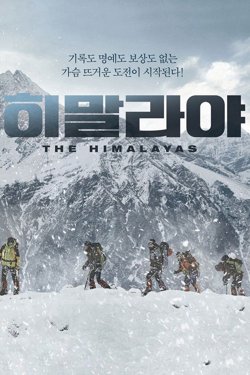 The Himalayas poster