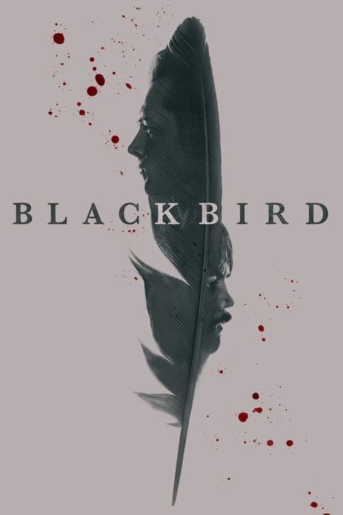 |ALB| Black Bird
