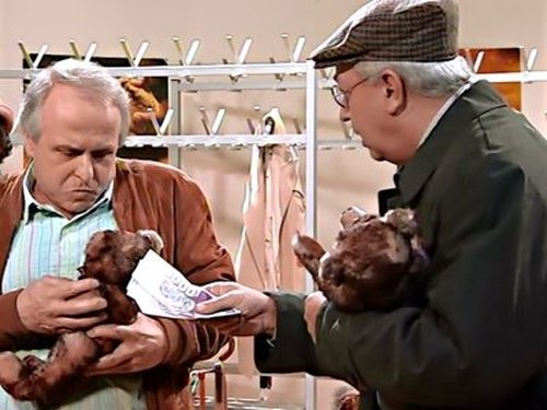 Image de l'épisode 11