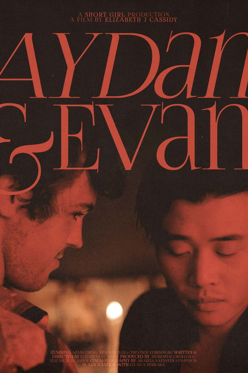 Aydan & Evan poster