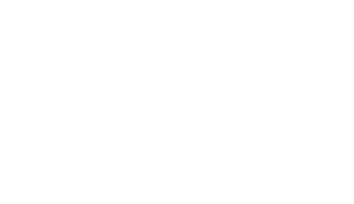 The Stepford Wives