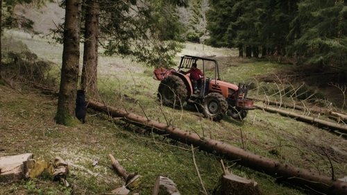 Poster della serie Undercut: l'oro di legno