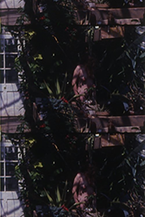 Adam Went On To Till the Soil... But What Happened to Eve? (1989) poster