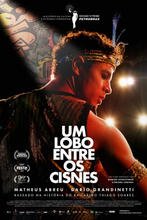 Um Lobo entre os Cisnes