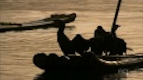 secrets du grand mekong - Season 1 Backdrop Blur