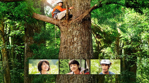 Wood Job! Backdrop